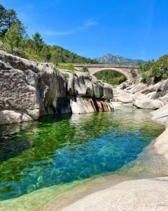 a river with a bridge in the background at Appartement Calme entre mer, montagne et rivière in Conca +14 photos