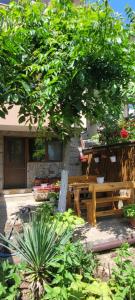 a wooden bench under a tree in front of a building at Vila Mihnevi in Chernomorets