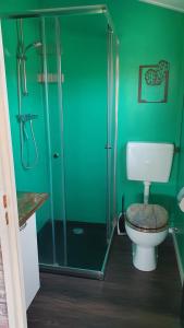 a green bathroom with a toilet and a shower at dutchduochalet2 in Heenweg +79 photos