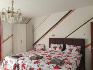 Fotografie z fotogalerie ubytování Montenegrinbeautystar v destinaci Bar