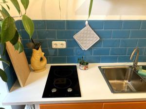 a kitchen counter with a stove and a sink at Little Fine Apartment close to Leipzig in Zeitz +10 photos