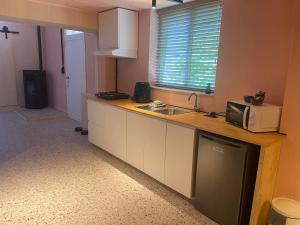 a kitchen with a sink and a microwave on a counter at Guesthouse Sprinysem in Zedelgem