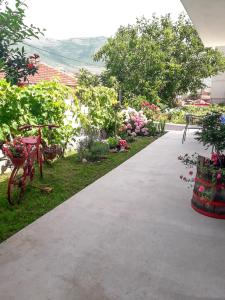 un passaggio attraverso un giardino con fiori e piante di Apartman Tanja Trebinje a Hrupjela