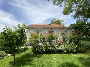 Zahrada ubytování The Little Oak - tiny house with bed on mezzanine & terrace - from 1 to 4 p Disney, Paris & CDG