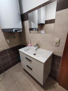 Koupelna v ubytování Apartmán Pivoňka