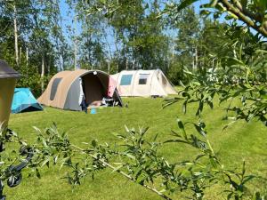 Zahrada ubytování CAMPING PITCH with electricity bring you're OWN CARAVAN OR TENT + 3 fotografie