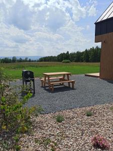 uma mesa de piquenique e um grelhador ao lado de um campo em Zielone Wzgórze komfortowy klimatyzowany domek z balią z aeromasażem em Kłodzko