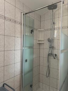 łazienka z prysznicem i szklanymi drzwiami w obiekcie Apartments Villa Engeli w mieście Vir