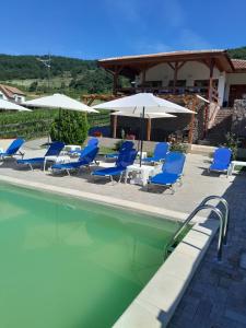 uma piscina com cadeiras azuis e guarda-sóis em Villa Rustica em Gornea