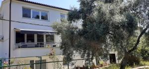 Zahrada ubytování Apartment Premantura