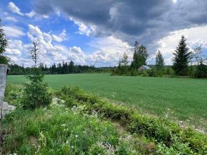 a large green field with a tree in the middle at KoloCabins - Hiitolanjoki 3 in Simpele +3 photos