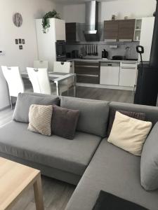 Kuchyň nebo kuchyňský kout v ubytování Příjemný apartmán Křoví v rodinném domku se sdíleným bazénem, terasou a zahradou