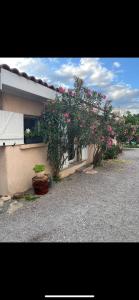 MagalasにあるMaisonnette indépendanteの建物の前にあるピンクの花の咲いた木