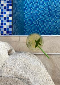a glass bowl with a plant in it next to a pool at Villa Ivanovic in Budva