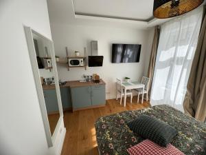 Kuchyň nebo kuchyňský kout v ubytování Boutique Hotel Pension Luisengrün Küche 1Gbs WLAN Netflix Disney MagentaTV