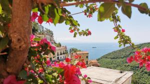 widok na wybrzeże Amalfi przez kwiaty w obiekcie Bouganville Home w mieście Vietri sul Mare