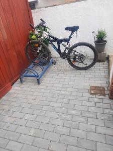Jazda na bicykli v okolí ubytovania Apartmán u Bouře