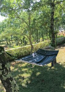 Fotografie z fotogalerie ubytování Villa VinoSelo - Grüne Oase mit Wellness v destinaci Vižinada