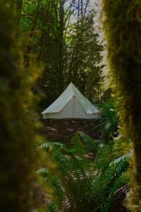 Fotografie z fotogalerie ubytování Olympic Glamping v destinaci Port Angeles