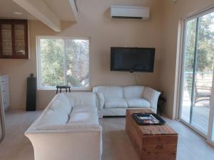 a living room with a white couch and a tv at Loyah Cabin in Ahwahnee