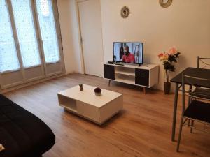 TV a/nebo společenská místnost v ubytování Appartement bord de Saône