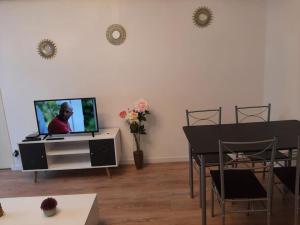 TV a/nebo společenská místnost v ubytování Appartement bord de Saône