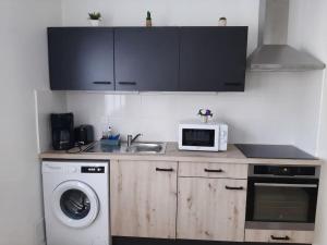 Kuchyň nebo kuchyňský kout v ubytování Appartement bord de Saône
