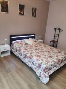 Postel nebo postele na pokoji v ubytování Appartement bord de Saône