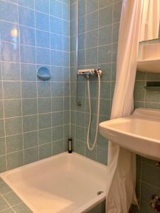 a bathroom with a shower and a sink at Waldglück in Wolfshagen