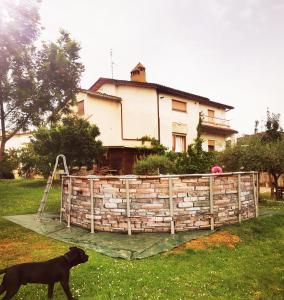 a dog standing in a yard in front of a house at Villa La Pineta in Umbertide