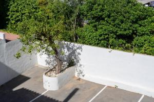 Fotografie z fotogalerie ubytování Hostal Jakiton v destinaci Palmanova