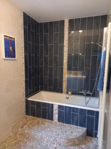 a bathroom with a tub and a shower with blue tiles at Chambre d'hôte Le fer à cheval en bord de Loire in Bully