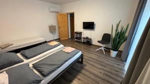a room with two beds and a plant in it at Jana Vendégház in Tófalu