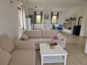 Fotografie z fotogalerie ubytování Apartment Jujube-IQM Destination Quality v destinaci Mali Lošinj