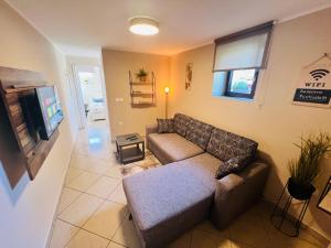 Μια τηλεόραση ή/και κέντρο ψυχαγωγίας στο Apartments Ivanisevic