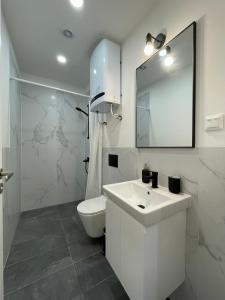 a bathroom with a sink and a toilet and a mirror at Prime Stays at 92 Antim I Street in Sofia