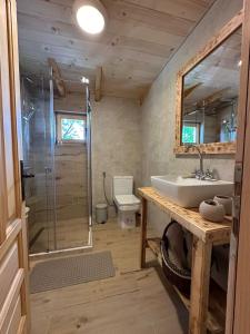 a bathroom with a sink and a shower and a toilet at Brvnara La Forêt in Žabljak