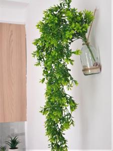 a green ivy vine hanging from a wall at Apartamento junto a la playa en Lloret de mar in Lloret de Mar