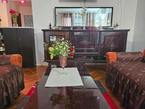 Predel za sedenje v nastanitvi Apartmani, sobe Žiža