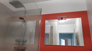 een spiegel aan de muur met een douche in de badkamer bij 2 chambres d'hôtes in Wissous +11 foto's