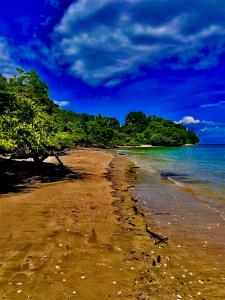Gallery image of La Perla Negra pirate tours in Puntarenas