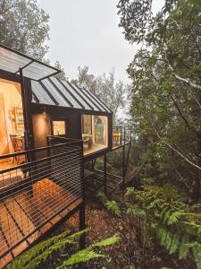 una casa en el bosque con una fachada de cristal en Epu 2 - Welemu Cabañas Tiny House en Curiñanco