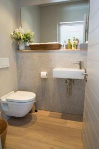 a bathroom with a toilet and a sink at Collection Luxury Apartments - Rozenhof Villa in Stellenbosch