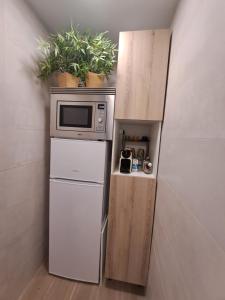 a kitchen with a microwave on top of a refrigerator at BARCELONA AIRPORT Mi COLIBRÍ in El Prat de Llobregat