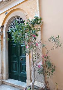 Fotografie z fotogalerie ubytování ''Dei Vecchi'' apartment in Kerkyra v destinaci Korfu