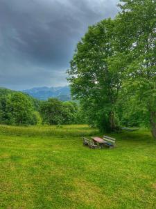Paesaggio naturale nelle vicinanze dell'appartamento