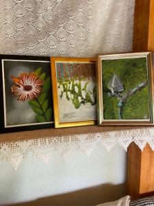 Foto dalla galleria di Konak Umoljani a Umoljani
