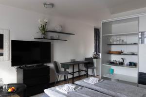 TV a/nebo společenská místnost v ubytování Apartmán NAVRCHU