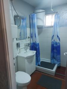 Koupelna v ubytování apartman Milica