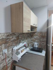 Kuchyň nebo kuchyňský kout v ubytování apartman Milica